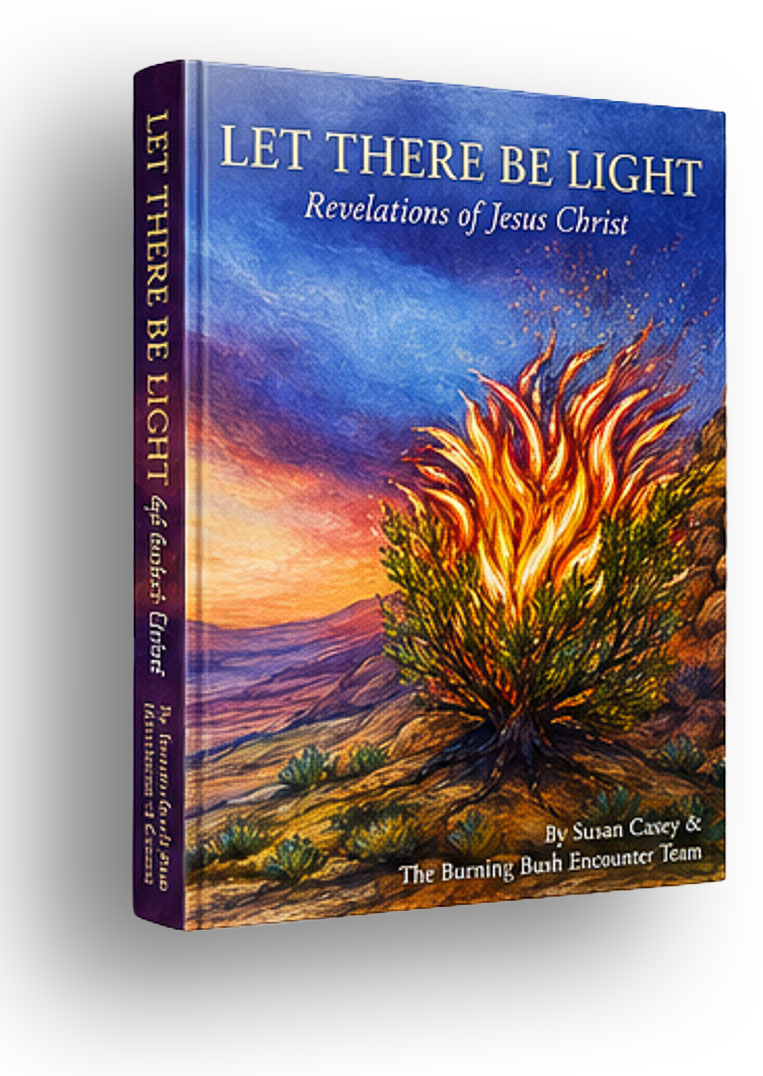 Let There Be Light: Revelations of Jesus Christ book cover